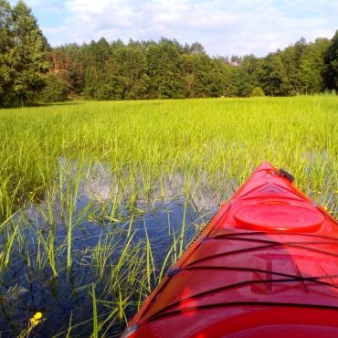 Pole namiotowe i bar 'Mewa'