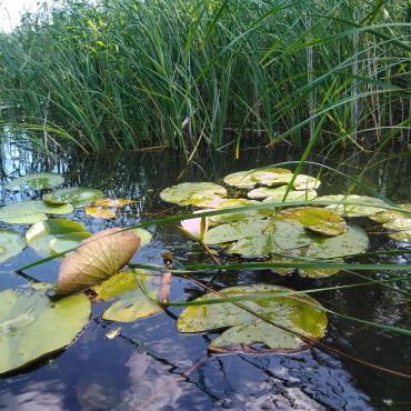 Raciąska Struga